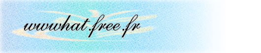Directory of Web Sites